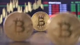 Audiobbook: Bitcoin Expert Wisdom: BTC Payserver