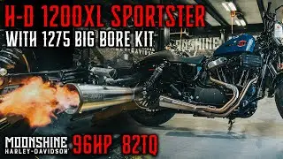 Can We Build a Fast Sportster on a Budget? 1275 Big Bore Kit on a H-D 1200XL
