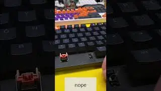 Razer Huntsman Stabilizer Insert Push Hard Harder