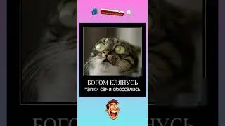 👉Подпишитесь, будет ещё смешнее 👍😂#юмор #смех #смехпродлеваетжизнь #анекдоты #позитив #shorts #мемы