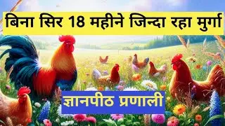 बिना सिर 18 महीने जिन्दा रहा मुर्गा | Miracle Mike | Headless Chicken | Shiva Narayan | Hindi 
