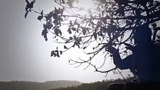 Hesen Emin & Yelmaz Eyhan & Aras Erdelan - Guya Zemin