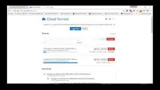 Cloud Torrent 1Gbps Torrent Fetching Rapidleech Server Peer Cloud-Torrent
