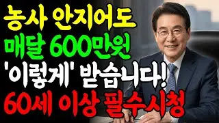 [정책] 