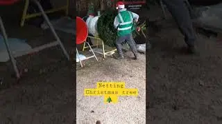 Netting Christmas Tree #shorts #christmas #uk