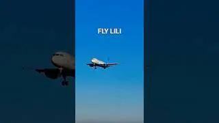Prilet letadla FLY LILI A-320 (Dom.zakladna RUMUNSKO) #letadlo
