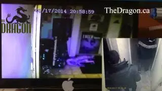 Bong Shop Brawl! Can't we all just getta-bong?