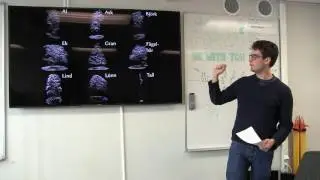 Tree species classification with multispectral laser