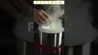 incredible facts about a Rare Condition !