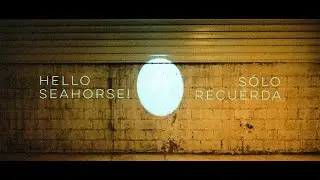 Hello Seahorse! - S&oacute;lo Recuerda (Video Oficial)