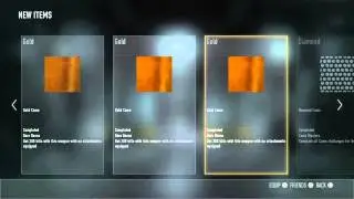 250 New Items Server Glitch On Aw