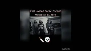 El patron 970 x Kg970 