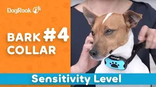 4. Sensitivity Level - DogRook Bark Collar