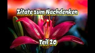 Zitate zum Nachdenken. Teil 20. #leben #zitate #spr&uuml;che #konfuzius #seneca #mariecurie