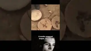 Cheapest way to preserve food #shorts #food #ytshorts