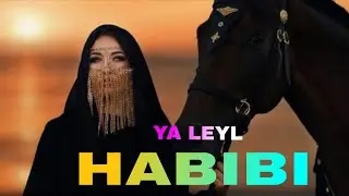 YA LEYL 💔 | HABIBI | Arabic &times; Turkish Deep Vibe Remix 2026