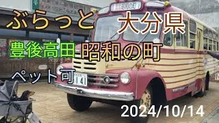 【昭和の町は楽しい】#ミニチュアダックスフンド#アルくん #いぬのいる生活 #大分県 #豊後高田市 #昭和の町#ペット可 #ペット #おもちゃ博物館#旧車