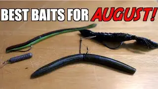 Top 3 BAITS For AUGUST Bass Fishing!