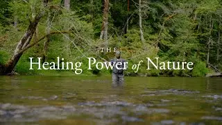 Healing Power of Nature: Chad Brown