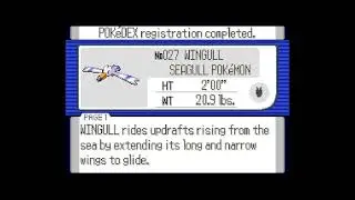 How to get Wingull in Pokemon Sapphire