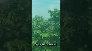 Dipor Bil Guwahati Assam #guwahati #assam #northeastindia