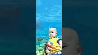 #jaredjames #smartbaby