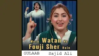 Mere Watan Ke Fouji Sher Hain