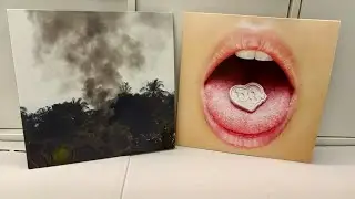 Drain Gang Vinyl (Trash Island + D&G)