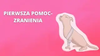 PIERWSZA POMOC DLA ZWIERZĄT - ZRANIENIA