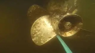 Miami divers