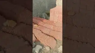 contact number.9790200651 company name. veeran bricks