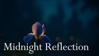 Loneliness &mdash; Felix&rsquo;s Midnight Reflection