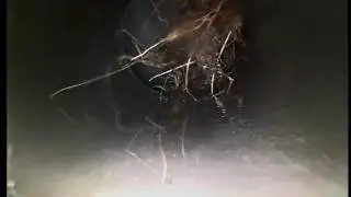 Shower to Gully   after  Clean