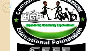 CEEF Strategic Program Focus