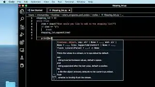 How To Build A Shopping List Program In Python!!