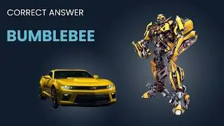 What is the name of the car?