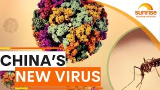 Global health alert as cases of China&rsquo;s Chikungunya virus soar past 10,000 | Sunrise