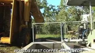 Jaques Coffee Plantation Mareeba