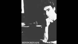 Reborn - MINDGRENADE