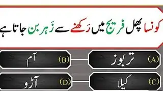 Islamic quiz General Knowledge Facts||World General Knowledge||Amazing Facts||Urdu GK Quiz 