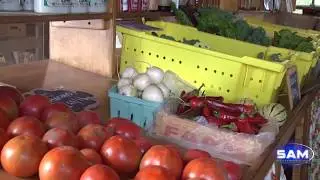 Chestnut Hill Farm, Southborough, MA, CSA farming -  TheTrustees.org - October 1, 2017