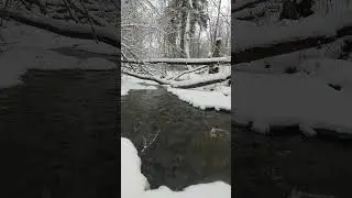 The sound of a small river