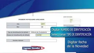 NOVEDADES VACACIONES