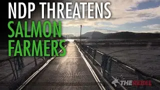NDP Minister Popham threatens salmon farmers, poses with protesters