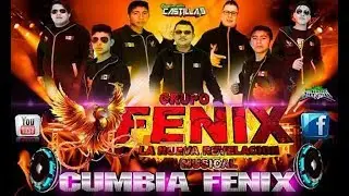 GRUPO FENIX 