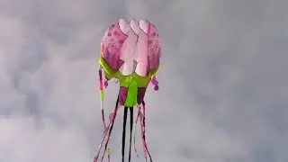 10m Jellyfish Kite