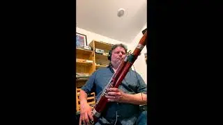 Bay of Fundy electric bassoon groove