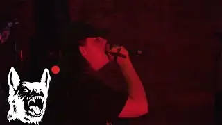 MUZZLEFLASH - LIVE at Haven Haus, 10/21/25