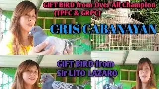 Giftbird from Over all Champion (TPFC & GRPC) Sir Cris Cabanayan