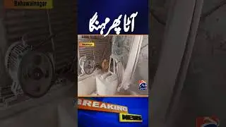 Flour prices have been revealed in various cities of the country - Breaking News | Geo News